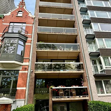 Appartement Large Sunny And Bright With Park View *